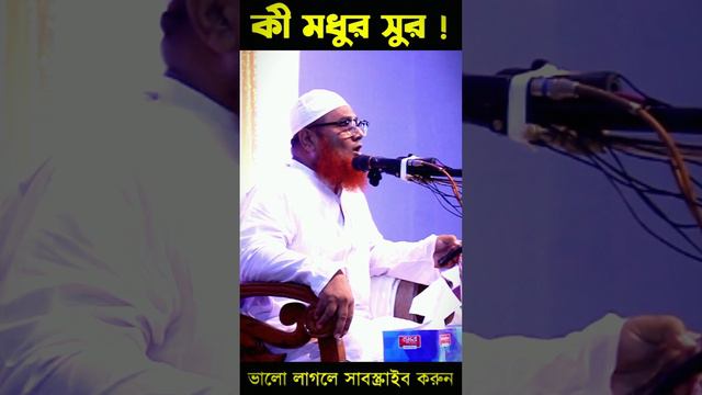 কি মধুর তেলাওয়াত ! আল্লামা আনোয়ার শাহ হুজুরের সুযোগ্য সন্তান । মুফতি আনযার শাহ তামিম। Waz Er Somoy