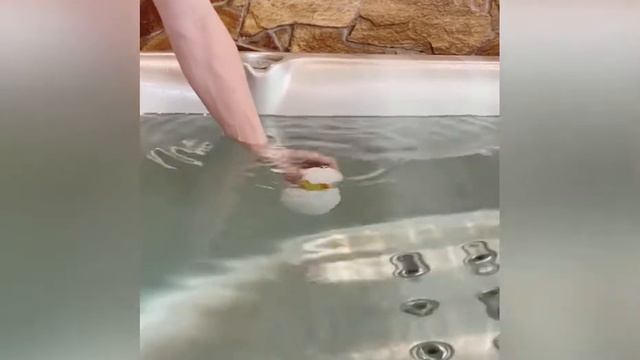 Яйцо для ванной уточка смотреть онлайн