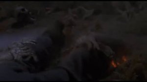 Призраки морей