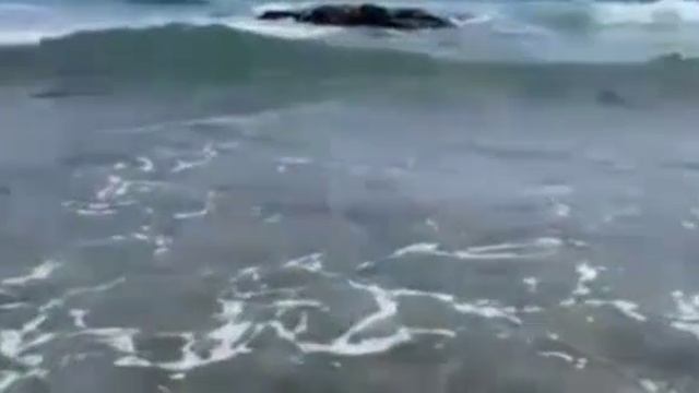 Песни Андрея Бандеры! смотреть онлайн