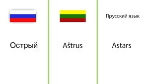 Литовский язык и Прусский язык. Сравнение слов.