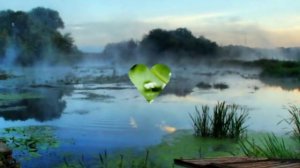 Л.Шепилова и А.Сотник - " Русалочка"