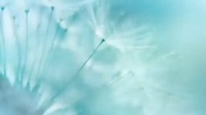 7 часов расслабляющей музыки для сна • Мягкая фортепианная музыка, музыка для сна, Sweet Dreams # 1