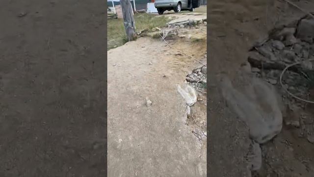 БАЙКАЛ ОЛЬХОН 2020