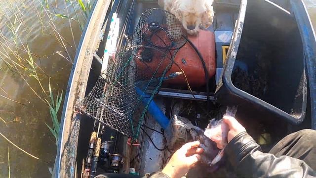 Ловим раков на Селигере