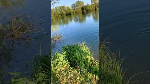 рыбалка января 2024 г. смотреть онлайн