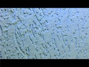 Мастер-класс по нанесению декоративной штукатурки Holzer Strukturputz HD