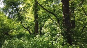 Зечка спасла сына пластического хирурга… А когда вошла в его дом, оцепенела, увидев себя в фоторамк