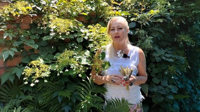 Волшебная ночь Ивана Купалы смотреть онлайн