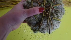 ШАР - ФУРАЖИЛКА ДЛЯ ПОПУГАЯ СВОИМИ РУКАМИ!