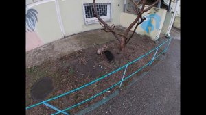 Афипский / Прогулка по уютному поселку в Краснодарском крае /  Февраль, 2021 год.