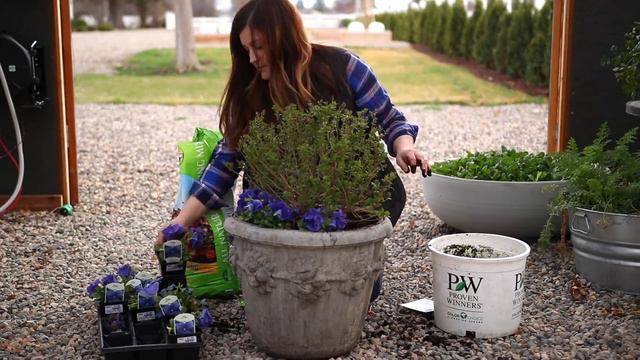 Scent and Sensibility Pink Lilac смотреть онлайн