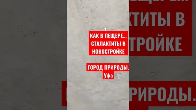 квартира с сюрпризом. сталактиты смотреть онлайн