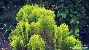 Природа Южной Кореи/The nature of Southern Korea/남한의 본성/Janubiy Koreyaning tabiati