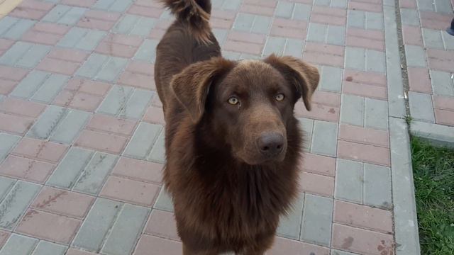 ВООБЩЕ НЕ ПРО ЦВЕТЫ! Хорошее настроение!