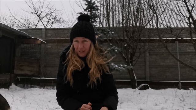Лиса Василиса увидела камеру
