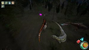 Beasts Of Bermuda - Acro Fight Compilation 3