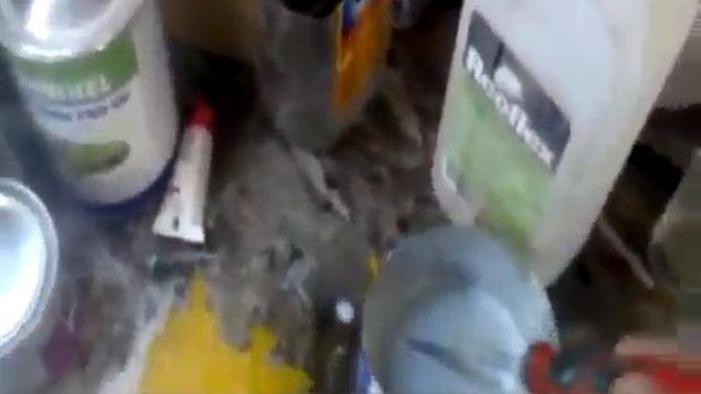 убрать рыжики самому в гаражных условиях смотреть онлайн