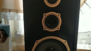 Твиттер, высокочастотные динамики с Ali Express.