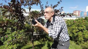 История Мытищ в фотографиях Сергея Миронова