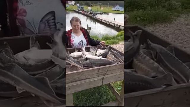 Щеглятьево!!! Ждём всех в гости! смотреть онлайн