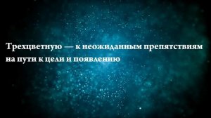 К чему снится гладить лошадь — Онлайн Сонник Эксперт