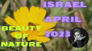 BEAUTY OF NATURE/Flowers and Birds/Природа/Цветы, птицы, и не только. Ganei Ya'ar/Israel April 2023