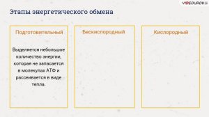 21  Обмен веществ и энергии в клетке