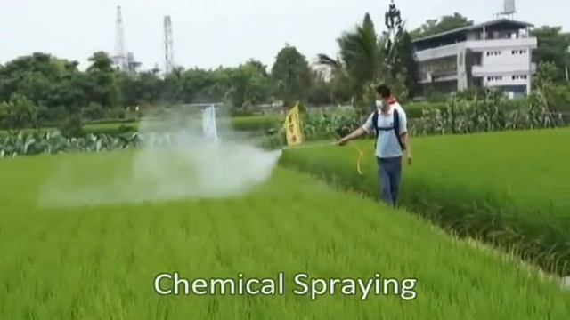 MORI KNAPSACK POWER SPRAYER - THP-250 (Mochila Pulverizadora de Gasolina)