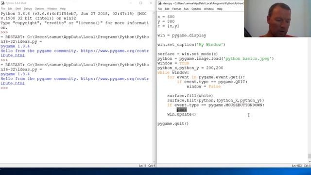 Python Basics Requested Video Image Randomly Moving | Pygame