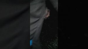 Зверское нападение летучей мыши на человека.