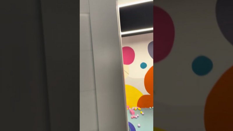 И такие бывают установщики дверей