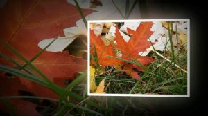 ProShow Slideshow осень,Бах