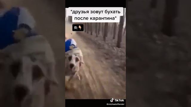 Когда закончился карантин