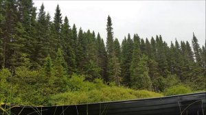 9 days ALONE IN THE BOREAL FOREST