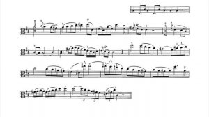 [Accompaniment-Piano] C.Stamitz - Concerto for Viola and Orchestra in D Major Op.1 - 1. Allegro