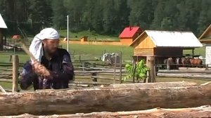 Мой друг художник и бродяга Николай Чепоков (Таракай) .Видео из жизни.