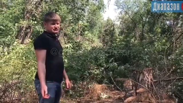 Зачем в новом парке рубят деревья смотреть онлайн