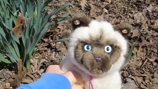 Webkinz Short Film: Ann's Guide - How to (Not) Edit a Video смотреть онлайн