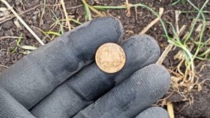 Неплохой поиск с Квазар Ф3. Коп на поле с металлоискателем Quasar F3