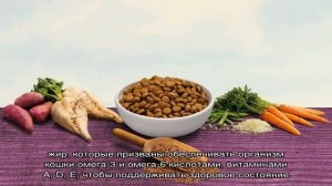 Корм для кошек Nature’s Table