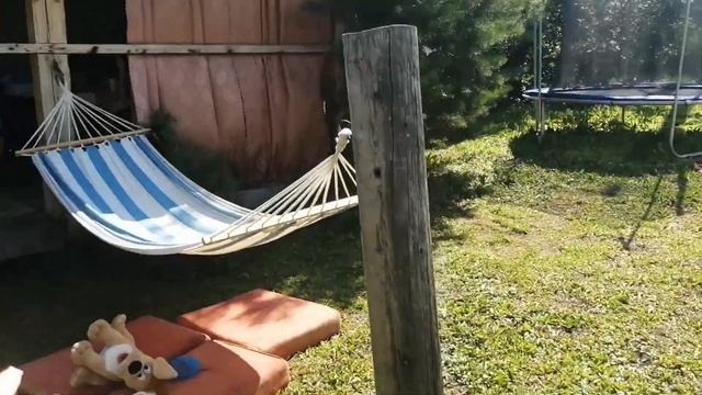 МОЙ ДЕНЬ НА ДАЧЕ / ПРОДУКТИВНЫЙ ДЕНЬ ИЗ МОЕЙ ЖИЗНИ смотреть онлайн