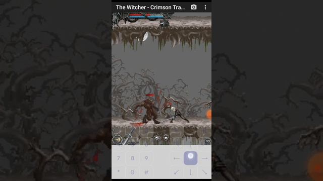 Gameplay Witcher for nokia 320x240 смотреть онлайн