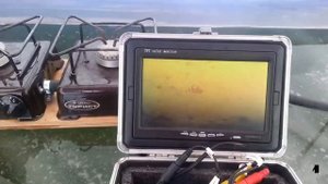 Сход большого леща