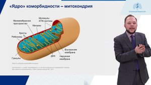 Законы коморбидности и методы оценки её тяжести