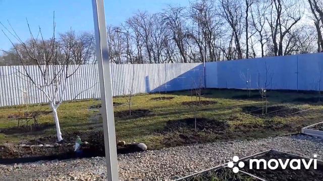 24-25.02.2024. Пикирую томаты и петунию, посев виолы. Пересадка цветов. смотреть онлайн