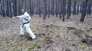 Тайкёку-соно-сан