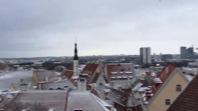 2019 01 Таллин, замок Toompea loss, смотровая Kohtuotsa Vaateplats 2