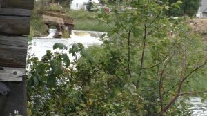 Недоблицы.  Река Хревица