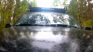 ssangyong musso 2.9d